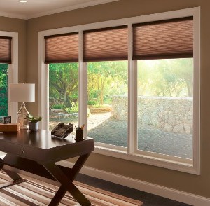 Motorized Blinds & Shades