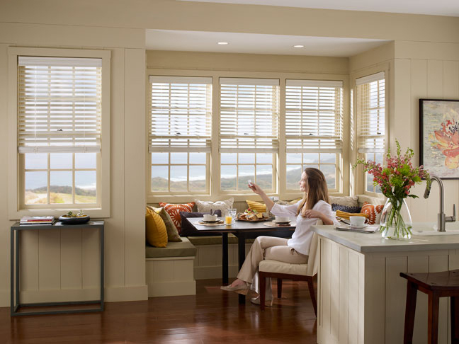 Lutron Shades & Blinds